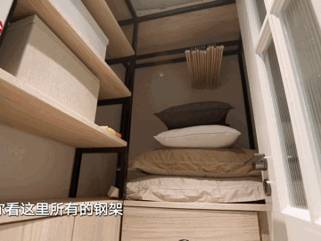 牵牛花（牵牛花图片大全大图）