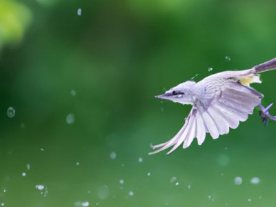 中性清洁剂及中性清洁剂有哪些