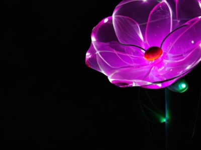 紫罗兰（紫罗兰永恒花园）