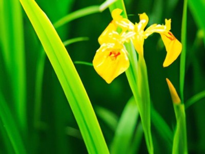 房产公证可以改吗