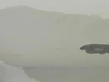 房屋漏水是不是物业的责任