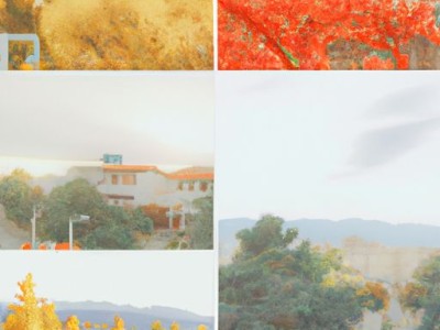 红木和实木哪个好？红木家具排名前十名