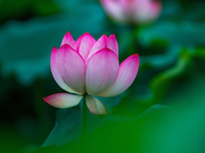 高压负荷开关及高压负荷开关图片