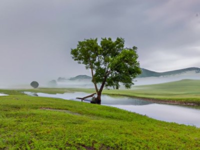 林学明：一位专业的装修大师