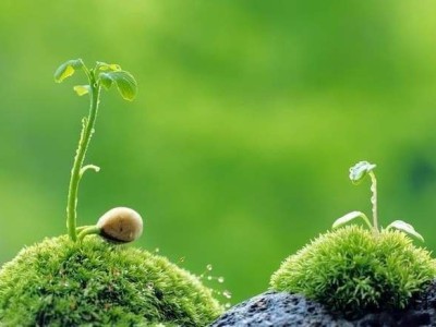 外墙油漆涂料验收与施工全流程