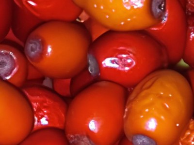 壁纸什么材质好