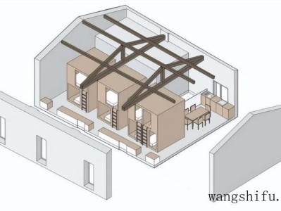 人心果（人心果的功效与作用）