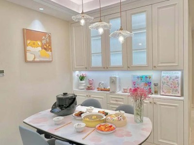 整体厨房（整体厨房定制十大名牌排名）