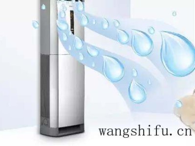 嘉兴哪个家居市场好（嘉兴哪个家居市场好一点）