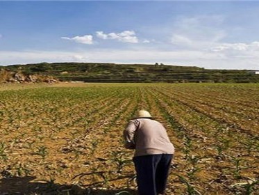 土地流转是强制的还是自愿的
