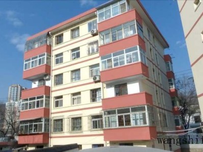 黑叶观音莲（黑叶观音莲的养殖方法和注意事项）