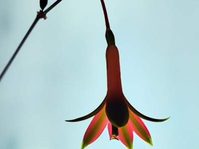 电视壁挂架（电视壁挂架怎么安装）