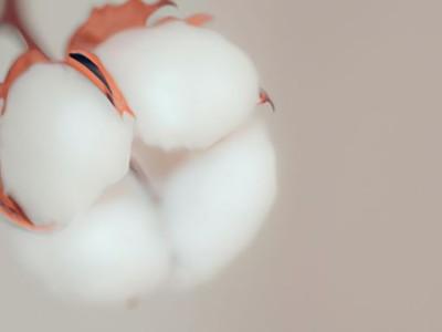 棉被芯可以用洗衣机洗吗？如何正确清洗棉被芯？