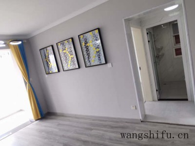 小雏菊花（小雏菊花语）