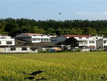 宅基地确权名字重要性