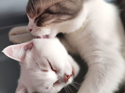 电热毯有什么危害及电热毯有什么危害吗?