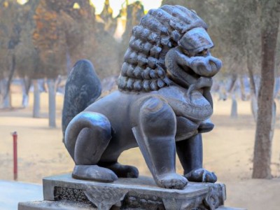 唐慧案：一个引发社会关注的事件