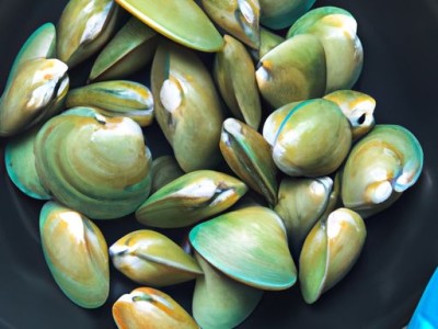 这些技巧油漆材料进场肯定能用到