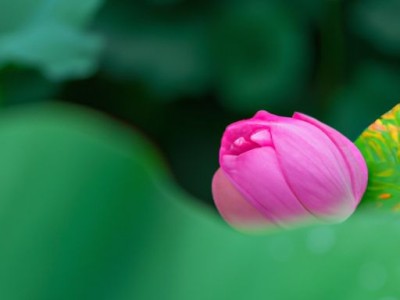 负荷隔离开关及其作用