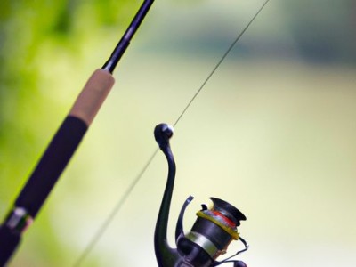 钓钟柳的特点及耐寒程度