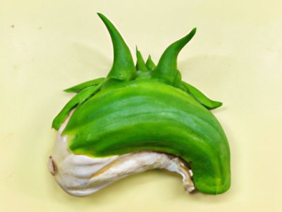 公牛公象插座哪个更好？公象插座和公牛插座的区别与优缺点比较