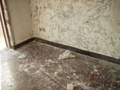 现代建筑风格特点是什么