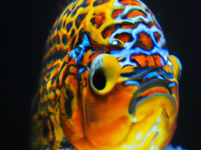 房屋公证应该找哪个部门