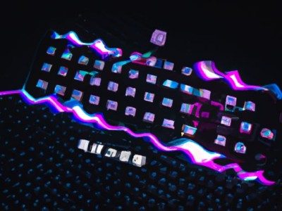 粗肋草（粗肋草图片）