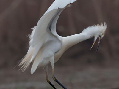 补漏王能否真正解决漏水问题？