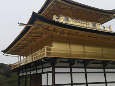 [资源共享]金丝彩缎涂料——取代墙纸壁布的墙漆