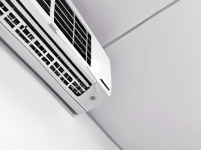 转运竹（转运竹养几支最旺运）