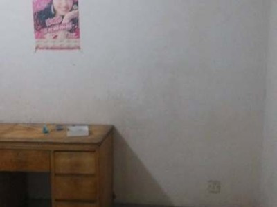 斗牛狗狗：了解这一勇敢而忠诚的品种