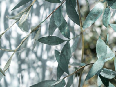 刷油漆工艺注意事项