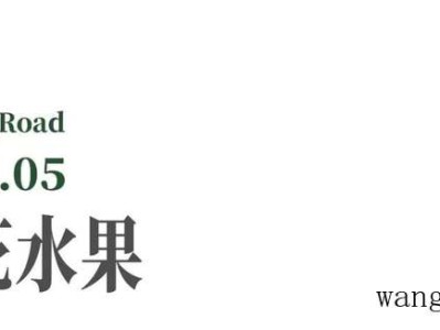 门吸和门碰用哪个（门吸与门碰）