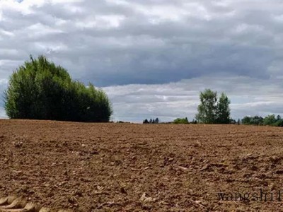 你不知道的旧墙翻新技巧