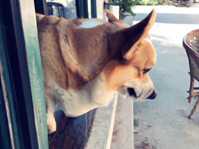 地暖的优缺点及地暖的优缺点全面介绍