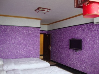 墙衣的优点和缺点