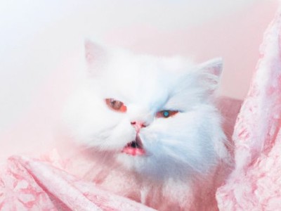 什么是抓绒衣及什么是抓绒衣服？