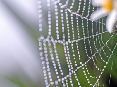 普加网：一站式房产买卖平台