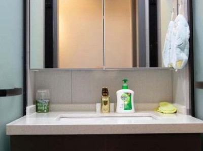 松霞（松霞仙人球）