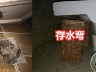 别傻了油漆涂料不一样 如何区别油漆涂料