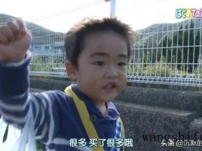 目鱼干（目鱼干和墨鱼干的区别）