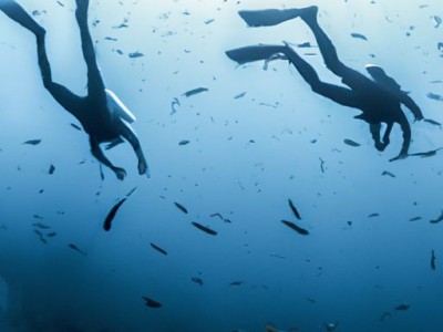 潜水及潜水员戴夫：探索深海的壮举