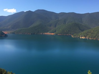 独活的功效与作用