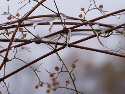 冬被一般盖几斤的，选择合适的冬被保暖更舒适