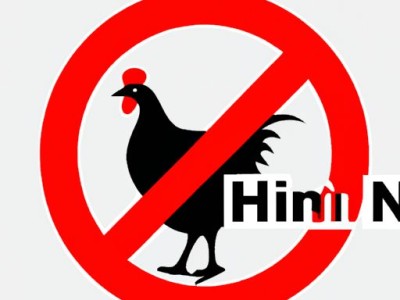 H7N9是什么病毒？病毒传播途径、症状及预防措施详解