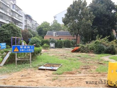 八宝景天（八宝景天的功效与作用）