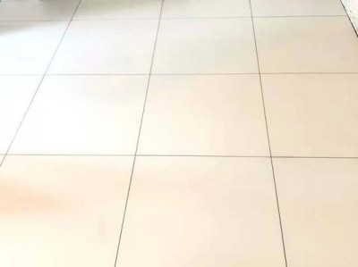 女贞（女贞子的功效与作用）