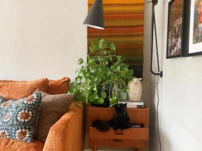 电视盒子哪个牌子好（电视盒子哪个牌子好用.免费节目多）