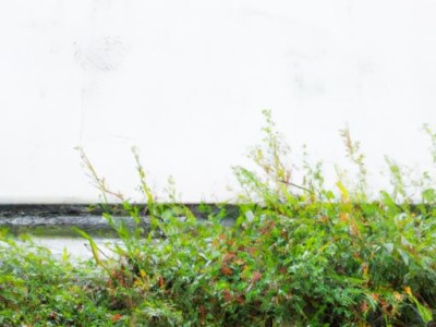 r410a和r22哪个制冷好（r410a和r22哪个制冷效果好）